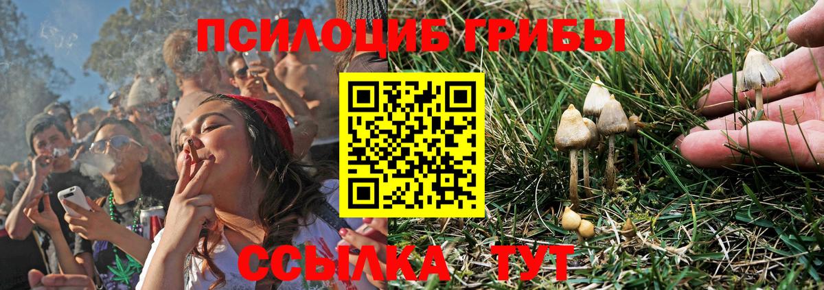Галлюциногенные грибы мухоморы Тавда
