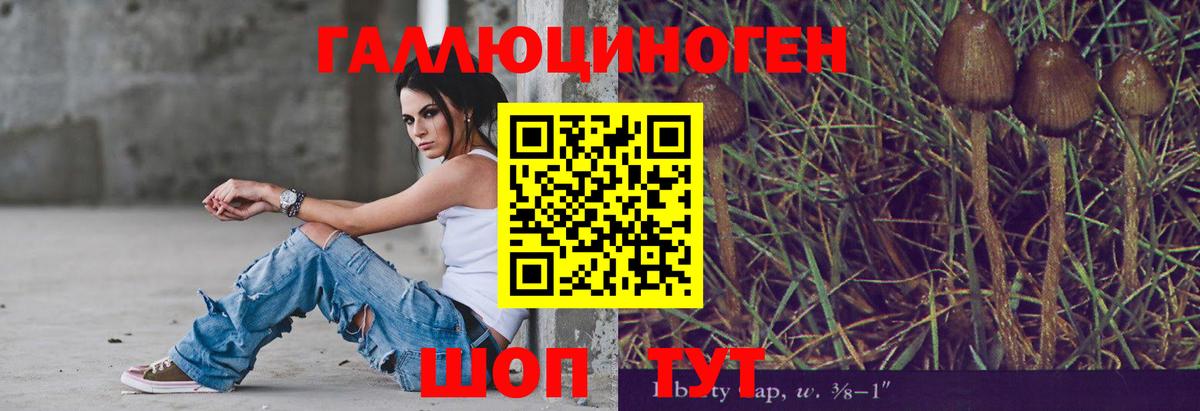 Галлюциногенные грибы мухоморы  цены   Тавда  Вход с VPN 