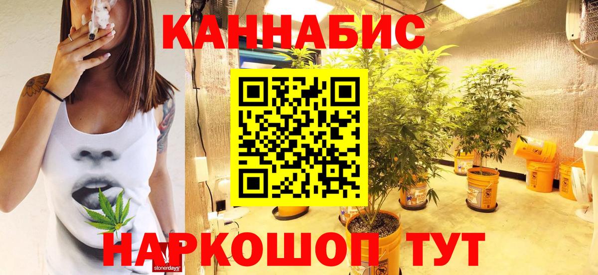 Канабис White Widow  Бошки марихуана планчик  Канабис VHQ  Вход с VPN  Тавда 